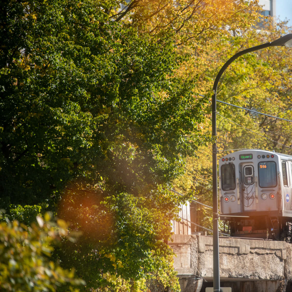 Fall CTA